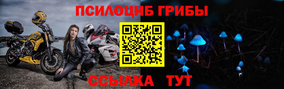 Бугуруслан  Псилоцибиновые грибы Cubensis  Вход с VPN  Галлюциногенные грибы Psilocybe 